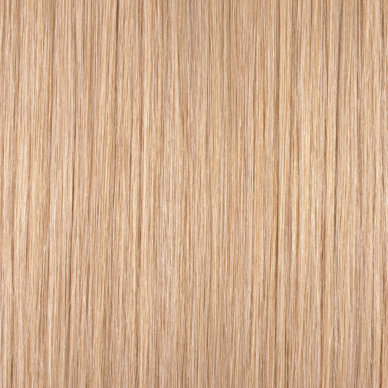 HOT HONEY BLONDE 10/24/27 CLIP-IN