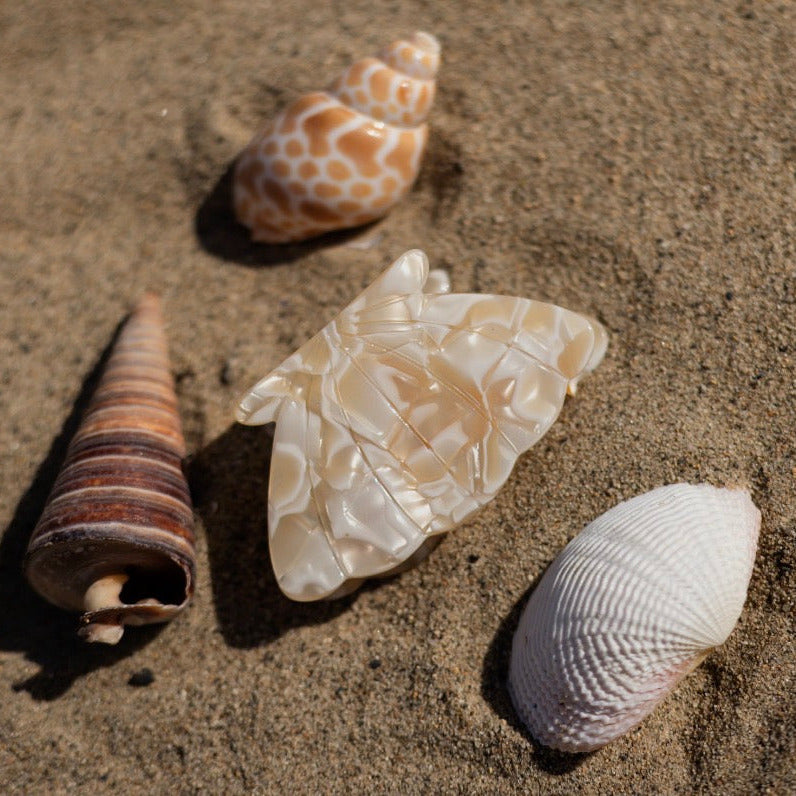RPZL x PANDORA AMORATIS IVORY SHELL CLAW CLIP