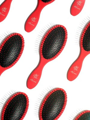 RPZL WET DETANGLER BRUSH